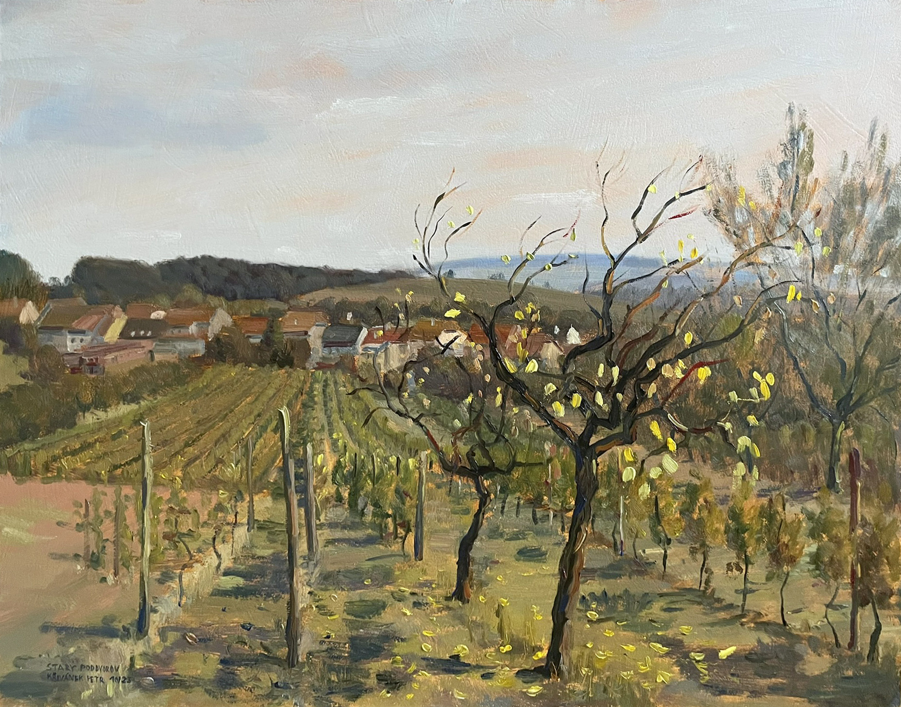 Meruňka za vinohradem, obraz malba